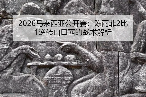 ma-lai-xi-ya-gong-kai-sai-chen-yu-fei-bi-ni-zhuan-shan-kou-qian-de-zhan-shu-jie-xi-3-829.jpg