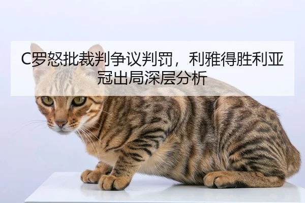 C罗怒批裁判争议判罚，利雅得胜利亚冠出局深层分析